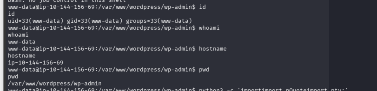 Shell enumeration showing the www-data user, hostname, and WordPress working directory